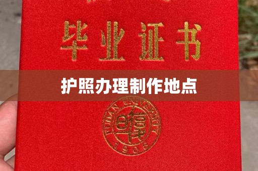 武义护照办理制作地点