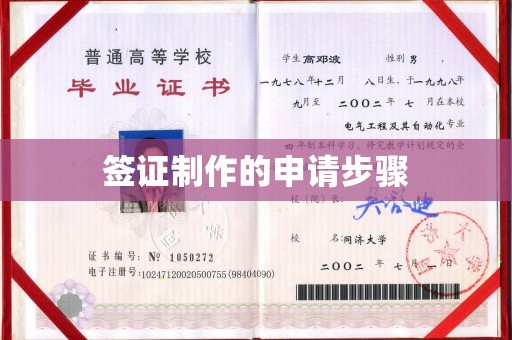 武义签证制作的申请步骤
