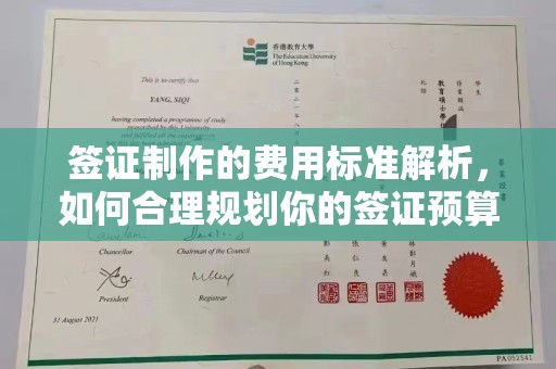 武义签证制作的费用标准解析，如何合理规划你的签证预算