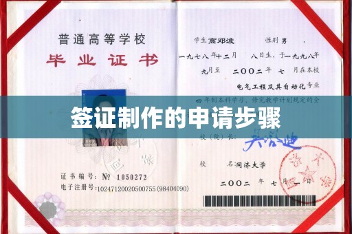 武义签证制作的申请步骤