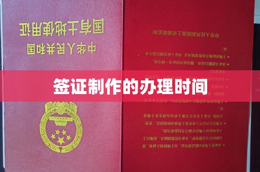 武义签证制作的办理时间