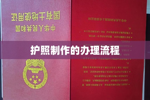 武义护照制作的办理流程